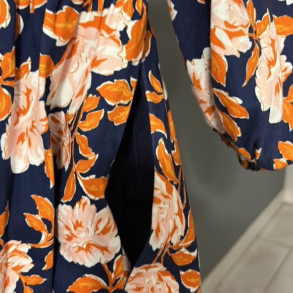 Amur - Picture 10 of 14